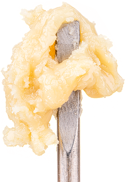 Cannabis rosin concentrate close-up